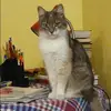 Отзыв от Маргарита Логинова